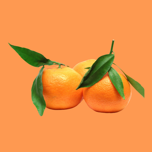 The OrangeMoon Experience in MARS