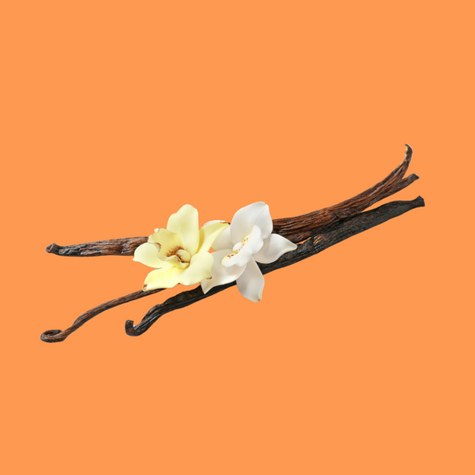 The OrangeMoon Experience in SUN